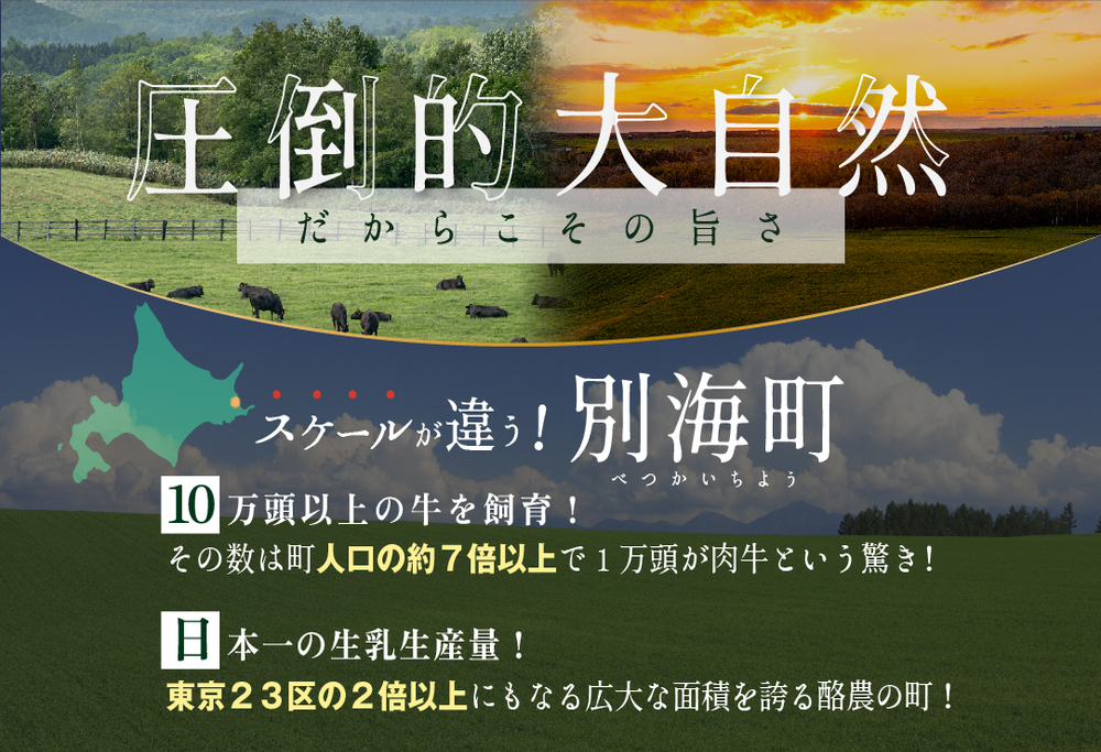 御礼！ランキング第1位獲得！肉定期便 黒毛和牛 別海和牛 4ヵ月贅沢コースA 全 4回