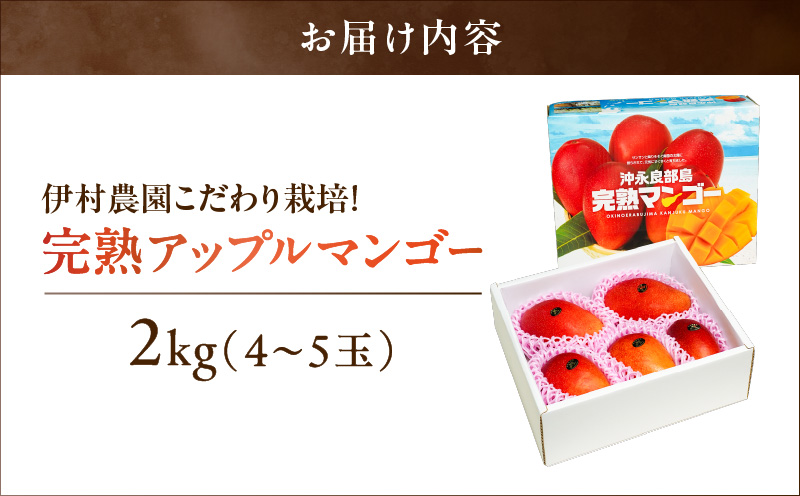 【2027年先行予約】伊村農園こだわり栽培！完熟アップルマンゴー２kg（４～５玉）　W026-002u