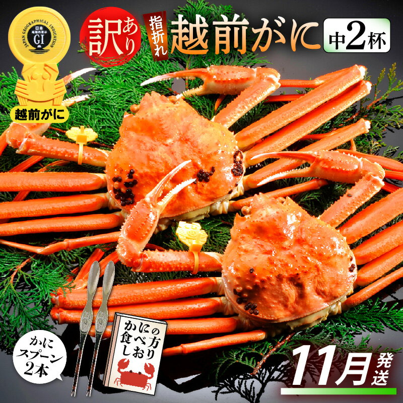【ふるさと納税】【訳あり】≪浜茹で≫指折れ 越前がに（中） × 2杯 食べ方しおり かにスプーン付き【雄 ズワイガニ ずわいがに 越前ガニ 姿 ボイル 冷蔵 福井県】【11月発送分】希望日指定可 備考欄に希望日をご記入ください [e15-x004_11]