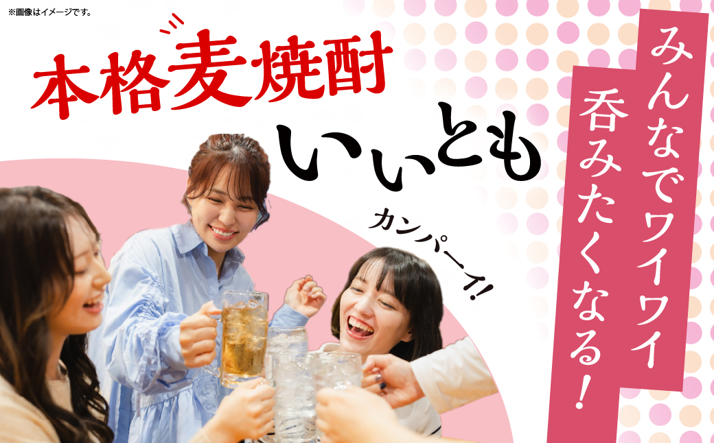 【雲海酒造】本格麦焼酎いいとも 25度 1800ml×6本セット_A0087-018