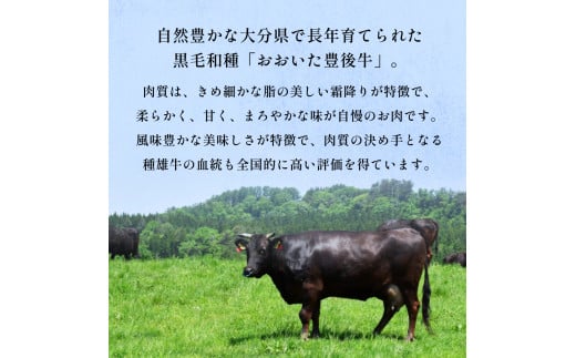 おおいた豊後牛 黒毛和種 サーロインステーキ 220g×4枚 おおいた 豊後牛 黒毛和種 サーロイン ステーキ 牛肉 和牛 大分県 霜降り 柔らかい まろやか 甘み 天皇賞 農林水産大臣賞 内閣総理大