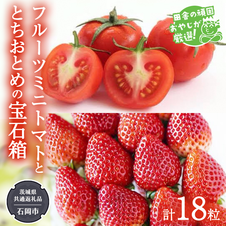 とちおとめ と フルーツミニトマトの宝石箱 18粒【1月から発送開始】（茨城県共通返礼品 [いちご]：石岡市産　[トマト]：つくばみらい市産） 詰め合わせ 果物 フルーツ 茨城県産 [BI468-NT]