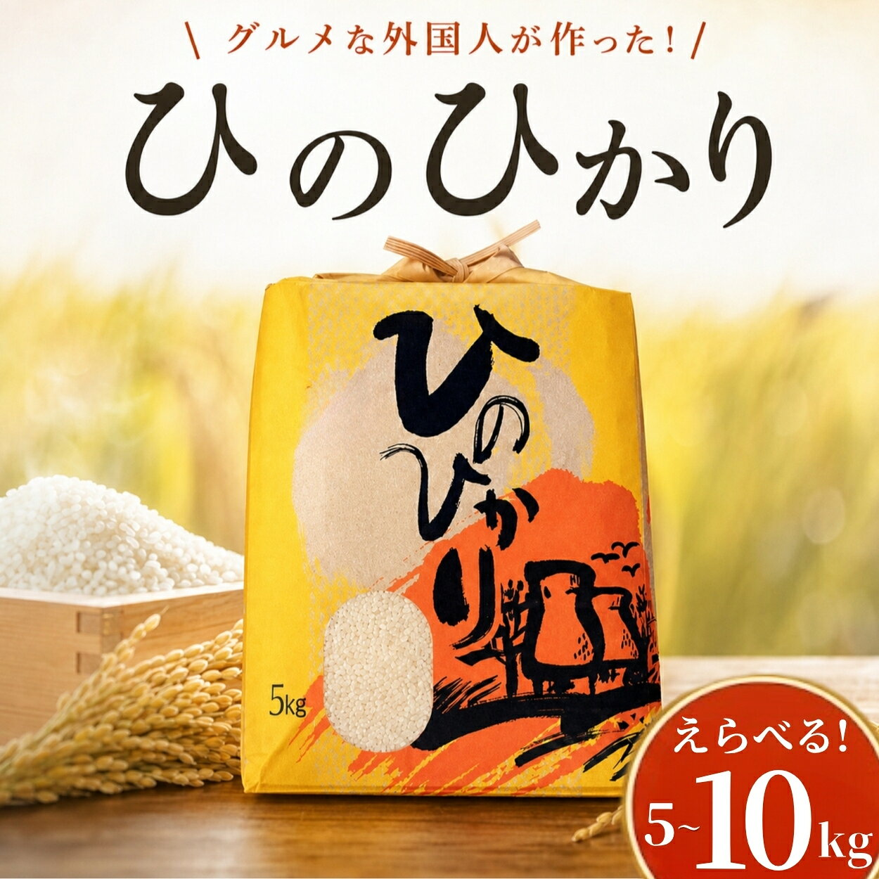 【ふるさと納税】選べる! ひのひかり 白米 5kg 10kg グルメな外国人 農家 が作った こだわり お米 ヒノヒカリ 2025年産 2026年産 新米 米 国産米 えらべる おこめ 一人暮らし ミネラル 豊富 期間限定 季節限定 ふるさと納税 ふるさと納税米 人気 おすすめ 高知県 黒潮町