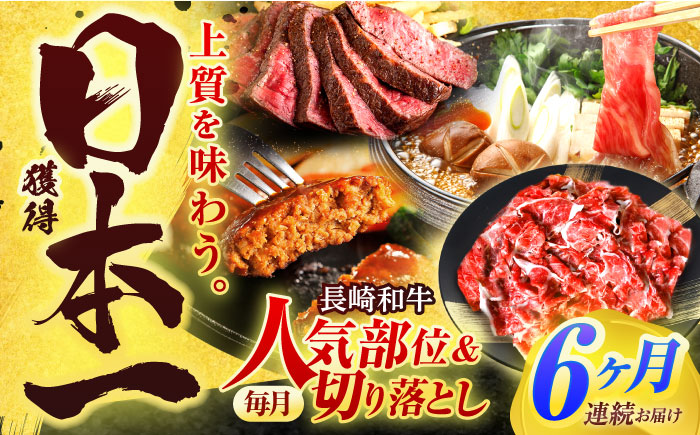 【全6回定期便】長崎和牛 切り落とし＋人気部位 セット 総計約8kg【有限会社長崎フードサービス】[OCD022] / 切り落とし 牛肉 定期便 切り落とし 牛肉 定期便 きりおとし 切り落とし 牛肉 定期便