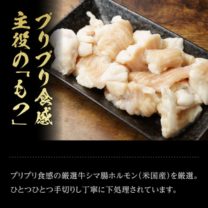 博多醤油もつ鍋 3～4人前セット 鍋 もつ もつ鍋 ホルモン 醤油 ちゃんぽん麺 海鮮鍋 ちゃんこ鍋 美味しい鍋 化粧箱 福岡県 八女市 214-034