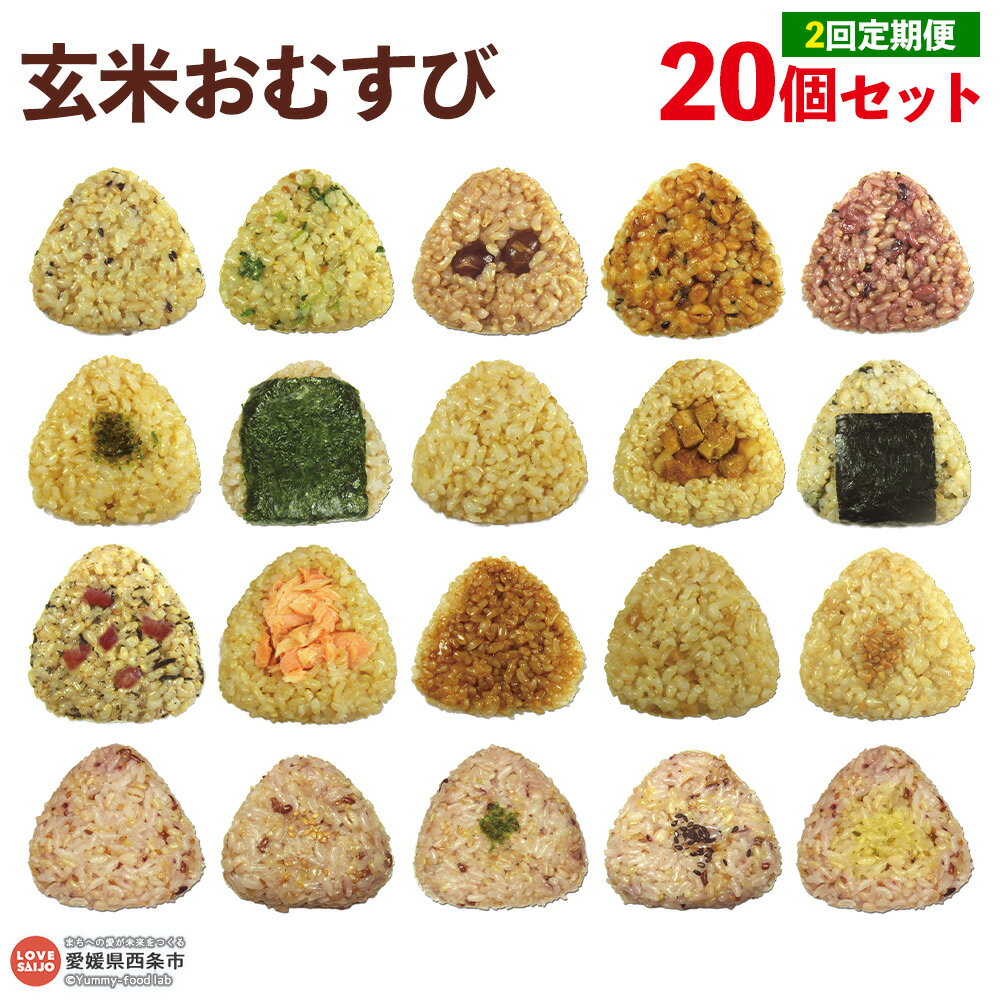 【ふるさと納税】＜玄米 おむすび 定期便 20個×2回＞- おにぎり 冷凍 鶏 チーズ 鮭 カレー 玄米おむすび玄むす屋 かんこめ 愛媛県 西条市『入金確認後、翌月末までに第1回目を出荷』