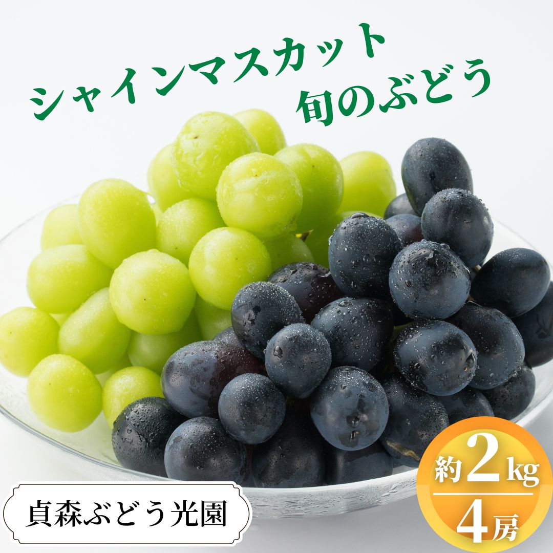 【ふるさと納税】ぶどう詰合せ シャインマスカット 旬のぶどう 詰め合わせ 約2kg 4～5房 セット 貞森ぶどう光園 ぶどう ブドウ 葡萄 フルーツ 果物 【 大粒 人気 皮ごと 熟した 採れたて 食べ比べ ピオーネ 】　※2025年9月上旬～9月下旬頃に順次発送予定