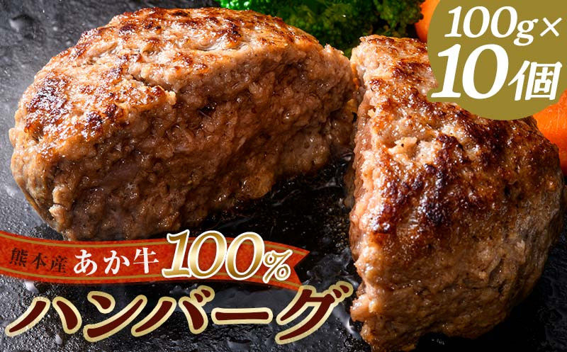 
FKK19-219 あか牛100％ハンバーグ（100g×10個）
