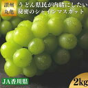 【ふるさと納税】地元民が内緒にしたい！丸亀のシャインマスカット約2kg（JA香川県）　【果物類・フルーツ・果物・ぶどう・マスカット・新触感・皮ごと・人気・シャインマスカット・化粧箱】　お届け：2024年9月上旬～9月下旬