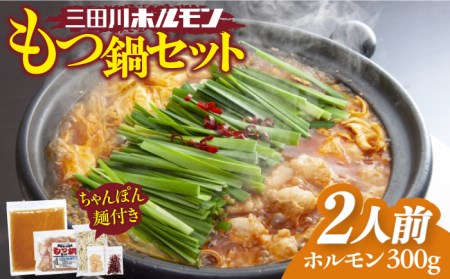 九州産もつ鍋セット(２人分）【三田川ホルモン専門店】[FAC002]