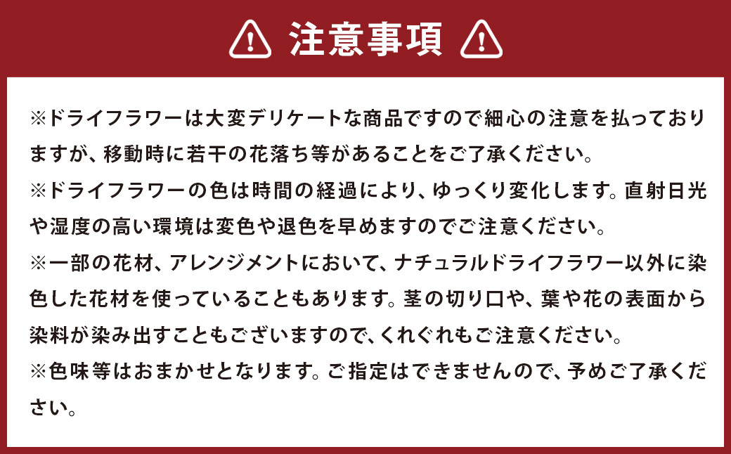 ドライフラワーリース Mサイズ