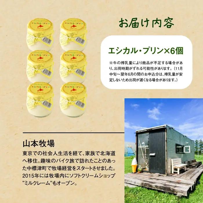 【★高評価レビュー獲得！】養老牛放牧牛乳使用エシカル・プリン6個 プリン オーガニック オーガニック牛乳 牛乳 おいしい牛乳 乳製品 乳飲料 有機JAS認証 低温殺菌 高栄養 スイーツ ふるさと納税 