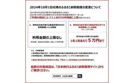 福岡県柳川市 日本旅行 地域限定旅行クーポン90,000円分（30,000円分×3枚）旅行クーポン 旅行 観光 クーポン 家族旅行 柳川市