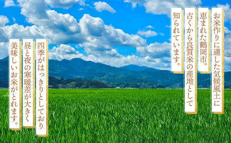 【令和7年産先行予約】 はえぬき　玄米（庄内米）　30kg×1袋　農家 長四郎