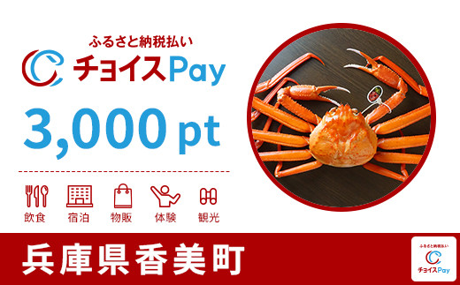 
            香美町チョイスPay 3,000pt【会員限定のお礼の品】
          