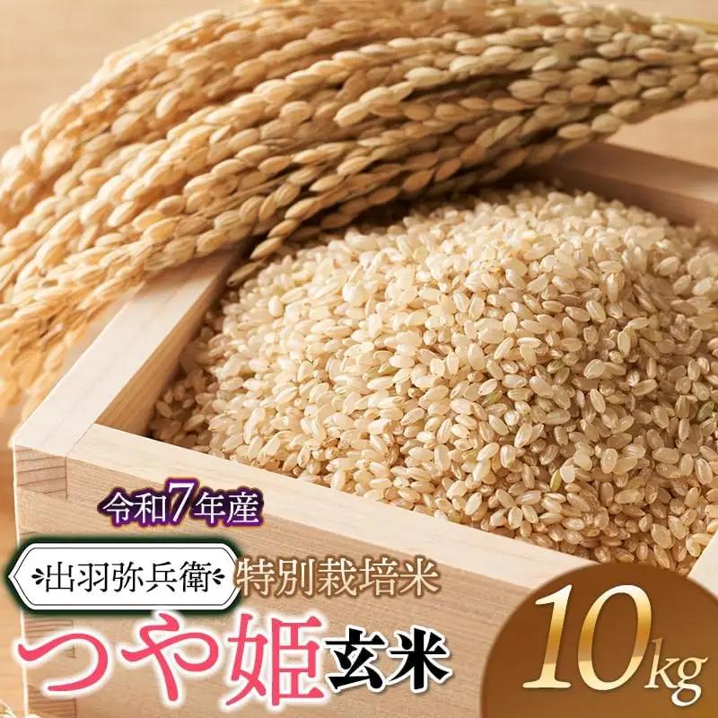 【令和7年産】特別栽培米 つや姫 【玄米】　10kg（5kg×2袋）　山形県鶴岡市産　出羽弥兵衛　| お米 米 コメ こめ ライス つやひめ 10キロ ご飯 ブランド米 国産 主食 お取り寄せ 返礼品