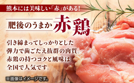 肥後のうまか 赤鶏  5種食べ比べセット（モモ ささみ ムネ 手羽先 手羽元）各2kg 計10kg【山内飼料 株式会社 熊本営業所】 熊本県 特産品 赤鶏 熊本 九州産  [ZAB005]