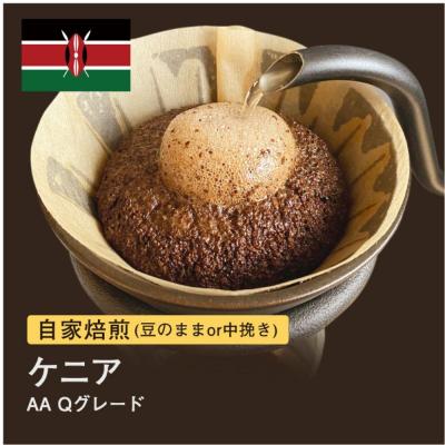 ふるさと納税 堺市 【豆】#013 ケニア AA Qグレード コーヒー豆 310g