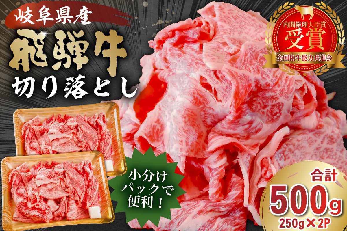 
             飛騨牛切り落とし500ｇ（250ｇ×2）【 牛肉 カレー シチュー 牛丼 肉じゃが 牛しぐれ煮 牛すき煮 炒め物 食品 肉 国産 和牛 ブランド牛 ブランド 小分け パック セット 国産牛 お肉 ロース 赤身 バラ ミックス 冷凍 料理 岐阜県 】
          