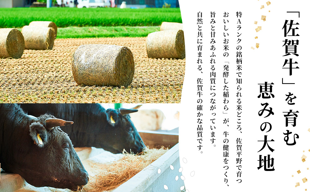 佐賀牛 赤身ブロック350g×3パック計1050g ロールステーキ80g×10枚計800g【佐賀牛 赤身ブロック ロールステーキ 牧場直送 ローストビーフ 黒毛和牛】(H122107)