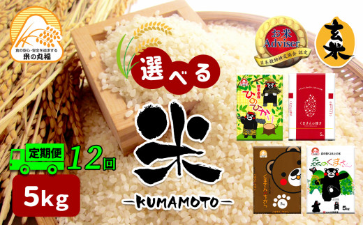 【定期便12回】 熊本県産 くまさんの力 5kg×12回 | 米 こめ お米 おこめ 白米 精米 玄米 定期 定期便 熊本県 玉名市