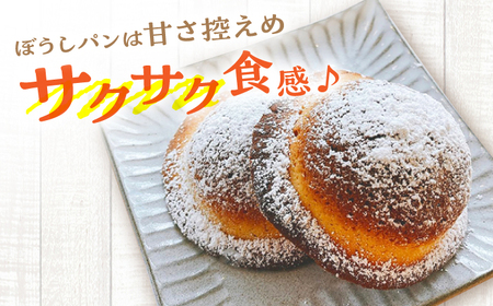 【2回定期便】高知のご当地パン ぼうしパン入り “パン工房だんだん” おすすめパンセット 7種類14個入り 【パン工房だんだん】[ATAQ009]