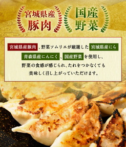 はちやの餃子 ≪15個入り≫ こだわり 本格 生餃子 選べる容量  1週間程度で発送 冷凍餃子  hc00001
