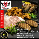 【ふるさと納税】大分 別府 特産 肉盛り 牛 和牛 牛肉 黒毛和牛 おおいた豊後牛 A4 A5 サーロイン ステーキ 内閣総理大臣賞 ブランド牛 とり天 鶏肉 ハンバーグ 真空パック 人気 おすすめ 贈り物 ギフト 特産品 ステーキ丼 焼肉 高級 ご褒美 おかず 送料無料