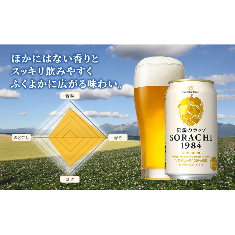 【12ヵ月連続定期便】北海道 上富良野町発祥 伝説のホップ SORACHI 1984 350ml×24缶 ソラチエース使用 サッポロ ビール クラフトビール 酒 アルコール 日用品 お酒_イメージ5