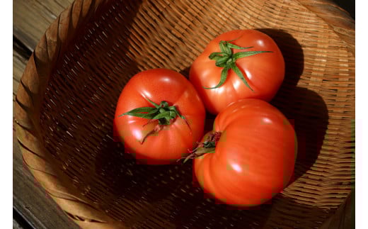 完熟トマトジュース ( 720mL × 2本 ) とまと 野菜 