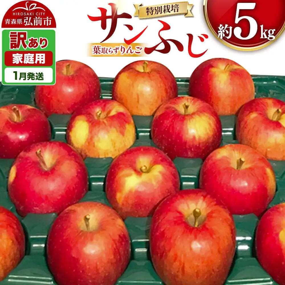 【27年1月発送】りんご 葉取らず サンふじ【訳あり】約5kg（14～20玉程度）青森県特別栽培農産物認証農園 先行受付 家庭用 青森県 弘前市 果物 フルーツ 林檎 リンゴ くだもの 不揃い 規格外