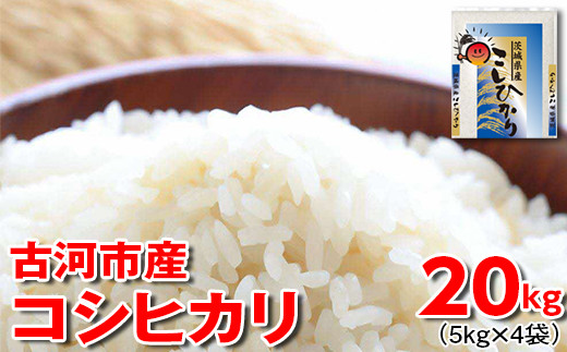 【新米】令和7年産 古河市産 コシヒカリ 20kg（5kg×4袋）| 米 こめ コメ 20キロ 精米 こしひかり 単一米 国産 古河市産 茨城県産 贈答 贈り物 プレゼント 茨城県 古河市 直送 農家直送 産地直送 着日指定可 ギフト お祝 ご褒美 取り寄せ お取り寄せ 記念品 景品 ※2025年9月上旬頃より順次発送予定 _DP24