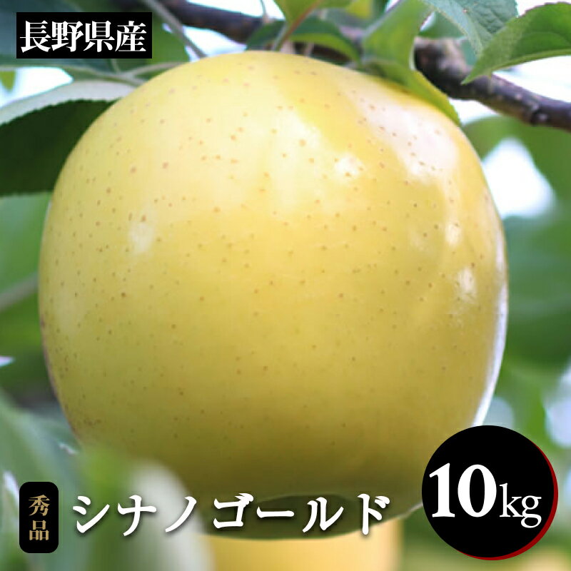 【ふるさと納税】 りんご シナノゴールド ジューシー な 黄金色 りんご シナノゴールド 約10kg 秀品 〈2025年10月下旬〜11月末発送〉| 果物 くだもの フルーツ りんご 林檎 リンゴ 黄金色 りんご 黄色 シナノゴールド 長野県 信州 南信州 飯田市 B35