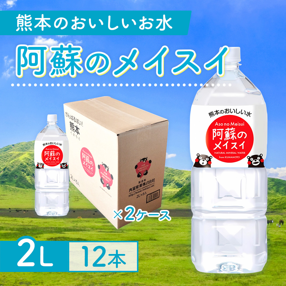 【12カ月定期便】熊本のおいしいお水 阿蘇のメイスイ 2L 2ケース×12回（計144本）CA024
