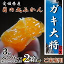 【ふるさと納税】自然の恵み!「ガキ大将」3kg(L/Mサイズ)/日の丸みかん/ご家庭用/2箱セット【D79-15】【1452038】