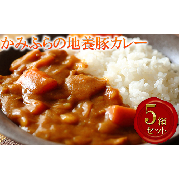 かみふらの地養豚カレー5箱セット_イメージ1