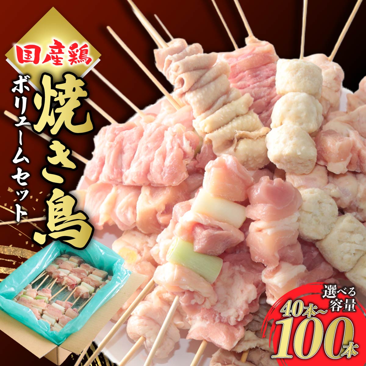 【ふるさと納税】焼き鳥 ボリュームセット 20本入 選べる容量 | 国産 焼き鳥 やきとり 鶏モモ肉 ねぎま かわ ぼんじり つくね 鶏肉 お取り寄せ グルメ おつまみ 夕飯 昼ごはん 簡単 便利 フライパン おかず 国産 手作業 串 家庭用 手軽 時短 惣菜 冷凍 来知 群馬県 前橋市