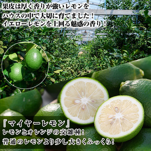 数量限定！ハウスマイヤーグリーンレモン(5kg) 国産 檸檬 果実 果物 フルーツ 柑橘 デザート お菓子作り 期間限定 数量限定【桐野柑橘株式会社】akn070-18
