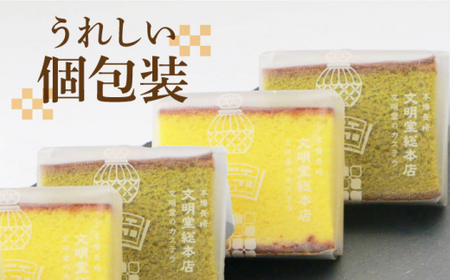 【3回定期便】カット包装カステラ　2箱入 （プレーン・抹茶）≪小値賀町≫【株式会社文明堂総本店】 カステラ かすてら 菓子 お菓子 和菓子 [DBF011] [DBF011]