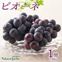 【ふるさと納税】 【仲野観光果樹園】《2025年先行予約》贈答用 山形県産 種無し ぶどう ピオーネ 秀品 1房(700g) 2025年8月下旬から順次発送 F2Y-5817