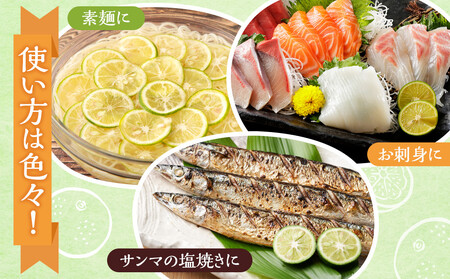 【期間限定】露地すだち 1箱（1kg）すだちすだちすだちすだちすだち