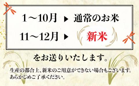 【全12回(月1回)定期便】栽培期間中 農薬不使用 ヒノヒカリ 5kg 糸島市/シーブ[AHC043] 米 定期便