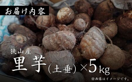 里芋 狭山市で採れた土付き里芋 土垂  約5kg | 埼玉県 狭山市