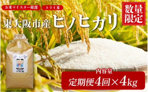 【  在庫限り！ 定期便 全4回！】東大阪市産 ヒノヒカリ 令和6年度産 4㎏ お米マイスター厳選 トライ米 月1×4回【 お米マイスター厳選 米 お米 白米 コメ ひのひかり 精米 新生活 応援 ス