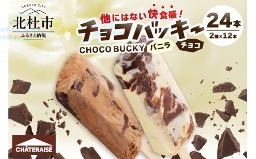 【シャトレーゼ】チョコバッキーバニラ＆チョコ詰合せ24本入　シャトレーゼ チョコバッキー 24本入り アイス 詰め合わせ セット バニラ＆チョコ バニラ チョコ 2種類 チョコ好き デザート おすすめ 人気 山梨県 北杜市
