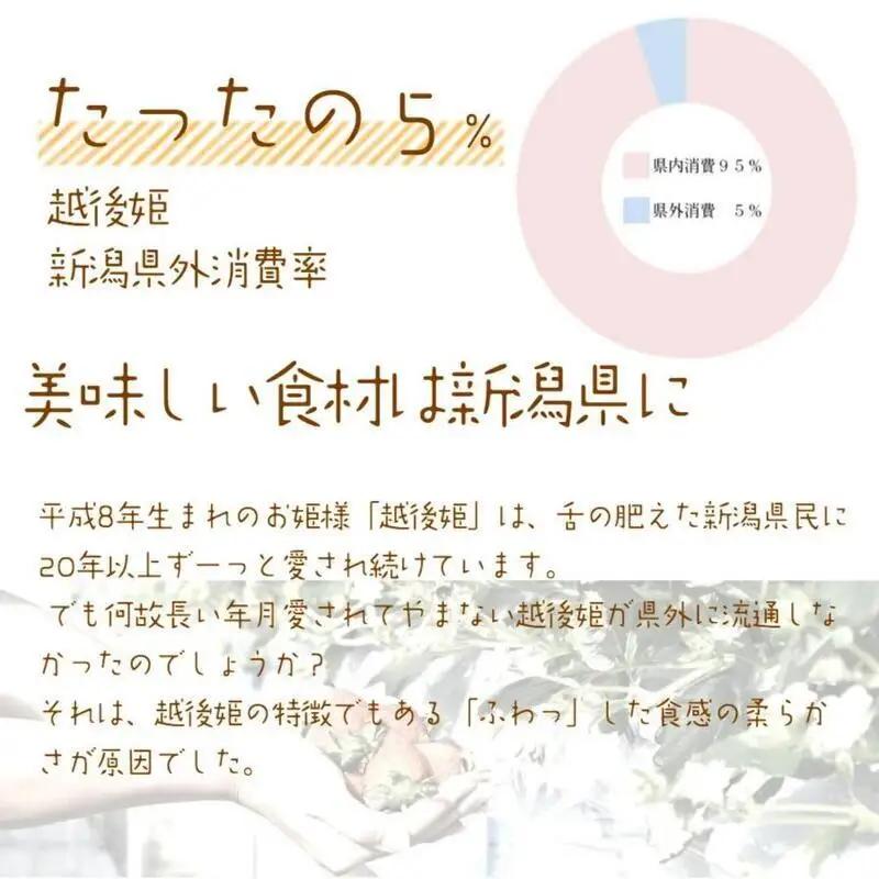 先行予約  いちご 雪国完熟越後姫桃薫シングル(約380g)ギフト箱入り 食べ比べ セット イチゴ 苺 果物 フルーツ 新潟 苺の花ことば