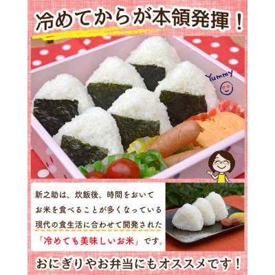 ふるさと納税 佐渡市 【毎月定期便】佐渡島産新之助 白米5Kg　全3回 |  | 03
