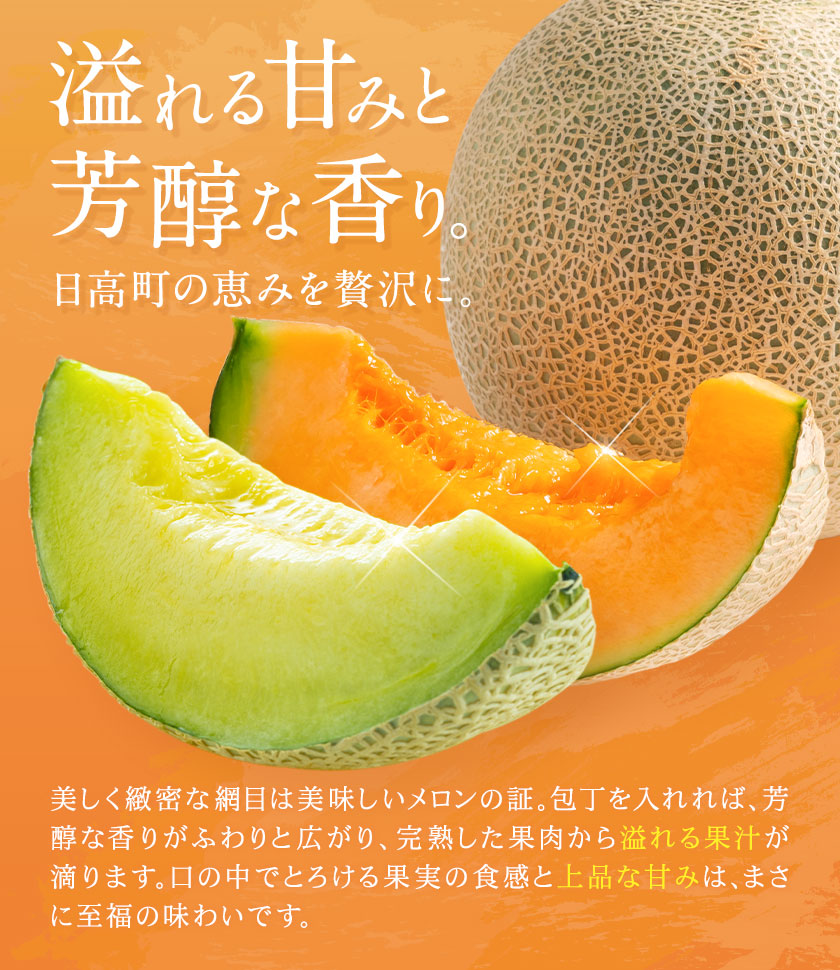 先行予約 日高メロン  2玉 のざわ農園 《7月上旬-8月中旬出荷》2026年 7月出荷 北海道 日高町産 赤肉メロン 青肉メロン 旬 果物 フルーツ めろん デザート 産地直送 お取り寄せ グルメ 