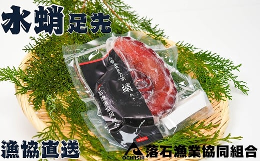 G-20003【年内配送可】 【北海道根室産】ボイル水たこ足先2P(計600g)