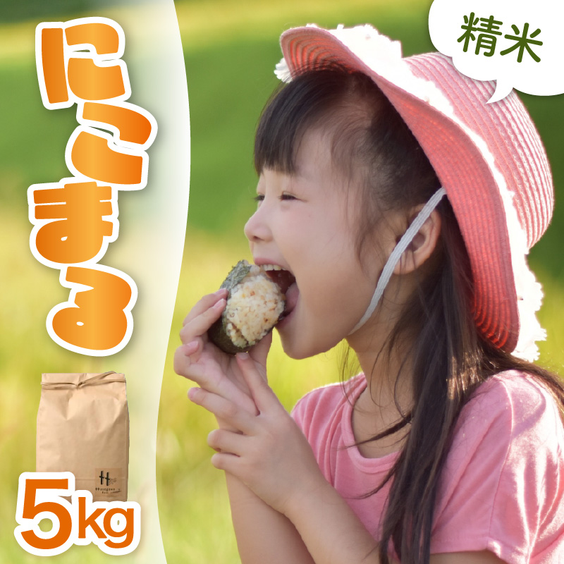 【令和7年産 新米】にこまる 精米 5kg ＜低農薬栽培＞ ／ 高品質 鮮度抜群 福井県あわら市産 ブランド米 白米 [aw066-a006]